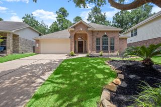 6 Bushell Mill Place, The Woodlands, TX 77382