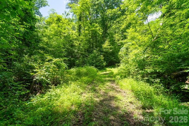 TBD Indian Flats Drive, Sylva, NC 28779