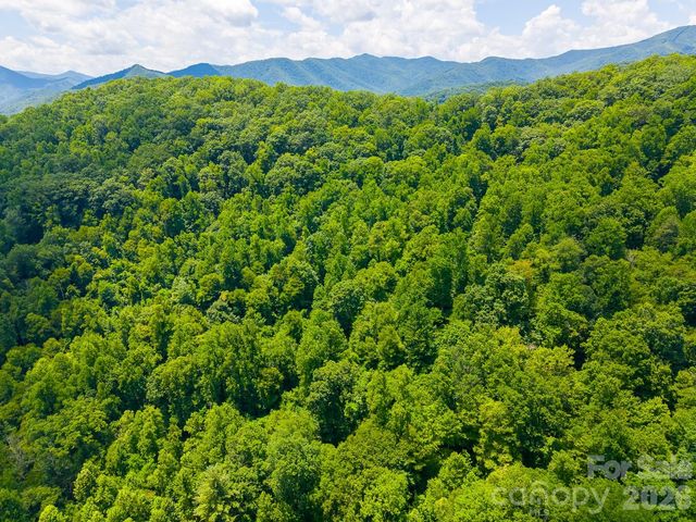 TBD Indian Flats Drive, Sylva, NC 28779