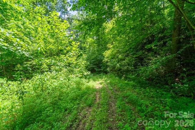 TBD Indian Flats Drive, Sylva, NC 28779