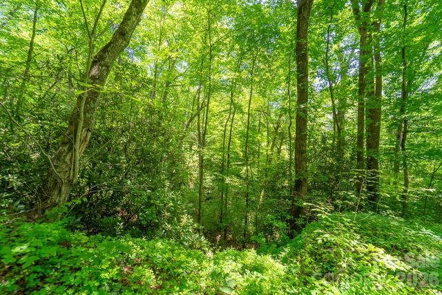 TBD Indian Flats Drive, Sylva, NC 28779