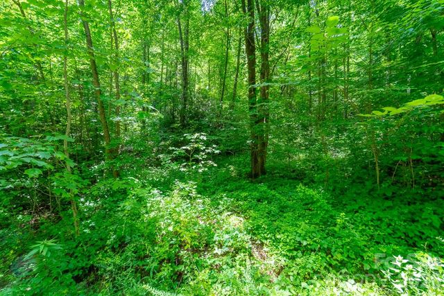 TBD Indian Flats Drive, Sylva, NC 28779