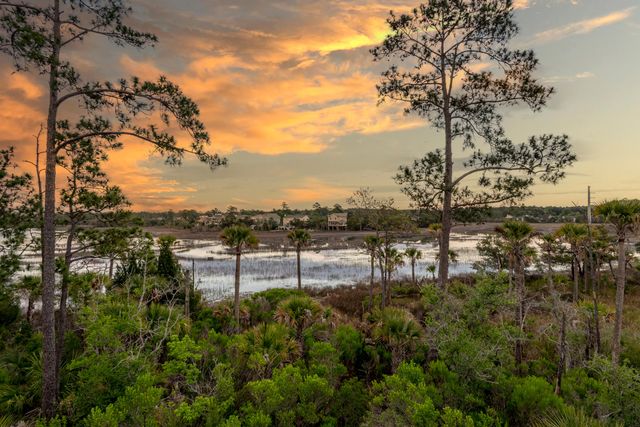 2316 Bucktail Court, Mount Pleasant, SC 29466