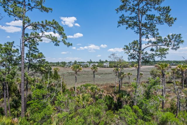 2316 Bucktail Court, Mount Pleasant, SC 29466