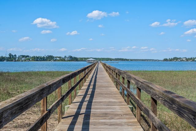 2316 Bucktail Court, Mount Pleasant, SC 29466