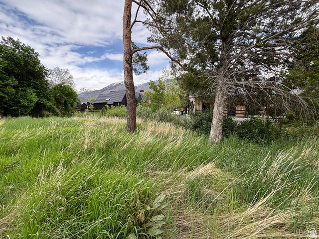 248 N DEERFIELD DR, Alpine, UT 84004