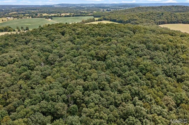 2276 Old Fredericktown Road, Farmington, MO 63640