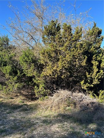 440 Canyon Edge, Canyon Lake, TX 78133