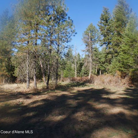 E Bell Canyon Rd, Harrison, ID 83833 property photo