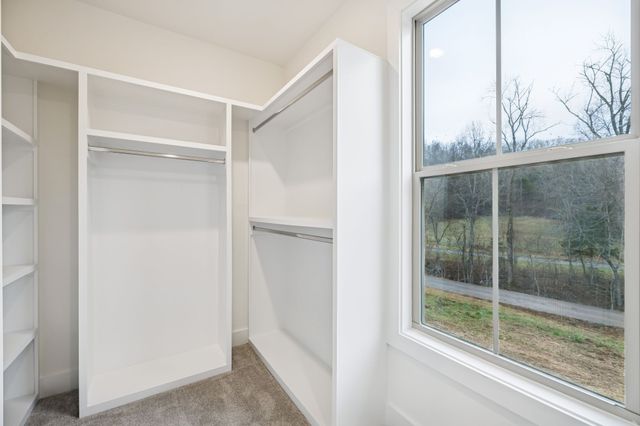 1561 Opossum Paw Rd, Beechgrove, TN 37018