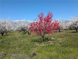 0 Pump House, Banning, CA 92220