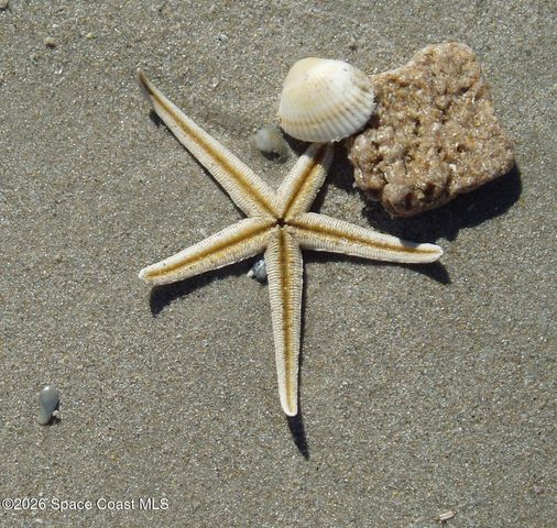 7820 Shadowood Drive 304, Melbourne, FL 32904