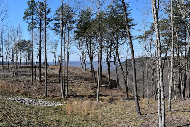 0 Pine Knot Pass 34, Jasper, TN 37347