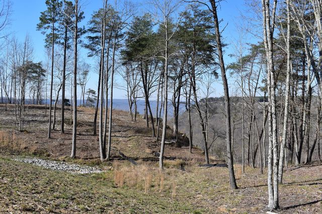 0 Pine Knot Pass 34, Jasper, TN 37347
