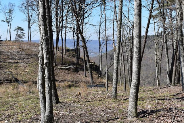 0 Pine Knot Pass 34, Jasper, TN 37347
