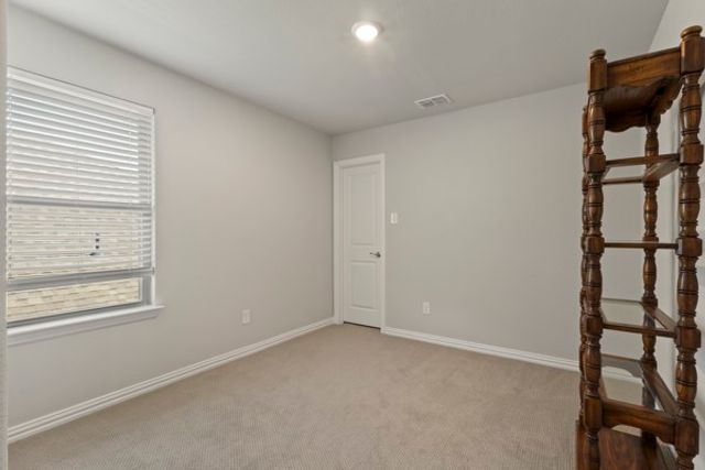 2316 Willow Garden Drive, Little Elm, TX 75068