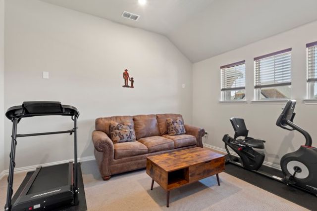 2316 Willow Garden Drive, Little Elm, TX 75068