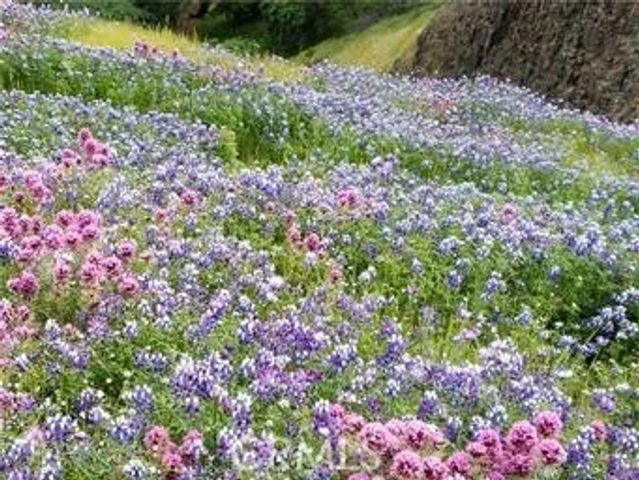 2920 Clark L-6, Butte Valley, CA 95965