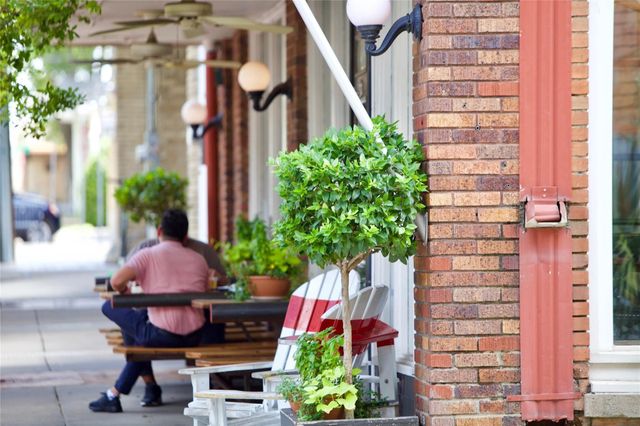 653 Culpepper Place, Dallas, TX 75208