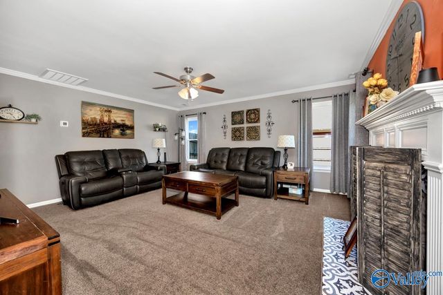 208 Park Stone Drive, Madison, AL 35758