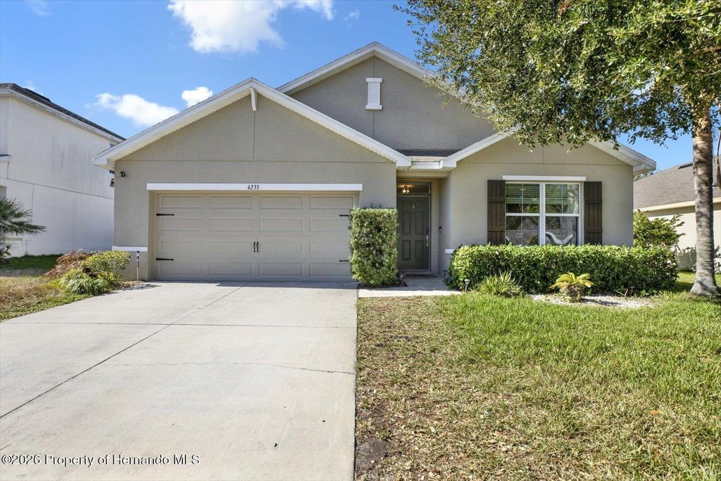 4233 Bramblewood Loop, Spring Hill, FL 34609