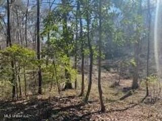 Lot 13 Turkey Creek Road, Natchez, MS 39120