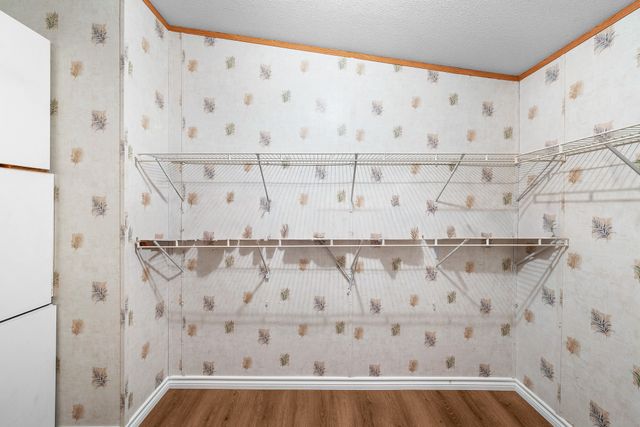 366 Tony Lane, Fate, TX 75189