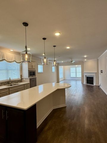509 Pickett Pl, Spring Hill, TN 37174