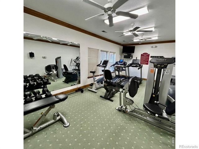 5620 Fossil Creek Parkway 5203, Fort Collins, CO 80525