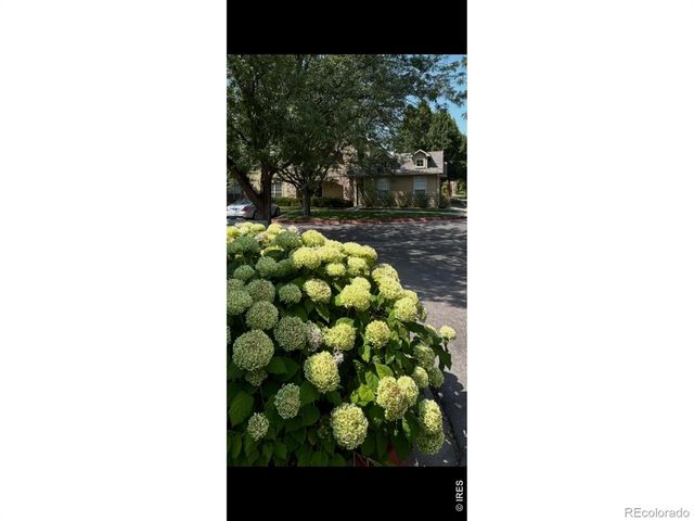5620 Fossil Creek Parkway 5203, Fort Collins, CO 80525