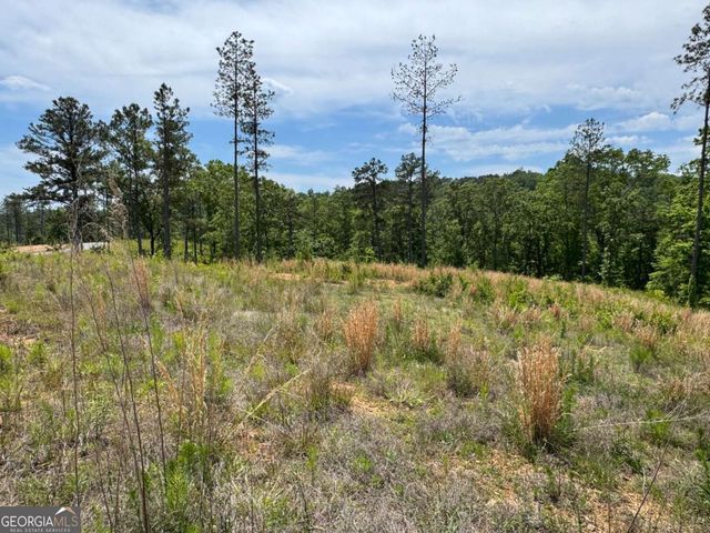 LOT 243 Spear Point Drive, Talking Rock, GA 30175