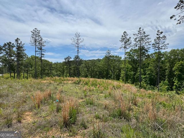 LOT 243 Spear Point Drive, Talking Rock, GA 30175