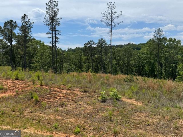 LOT 243 Spear Point Drive, Talking Rock, GA 30175