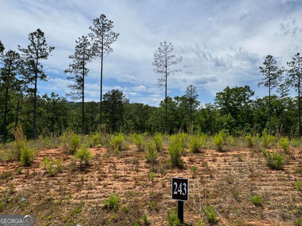 LOT 243 Spear Point Drive, Talking Rock, GA 30175