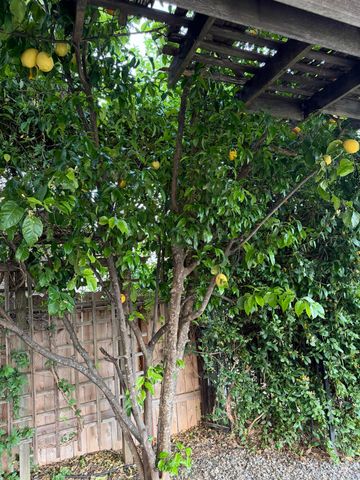 366 River Park Drive, Redding, CA 96003