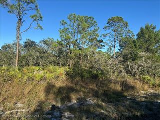 1239 Popinjay Avenue, Lake Placid, FL 33852