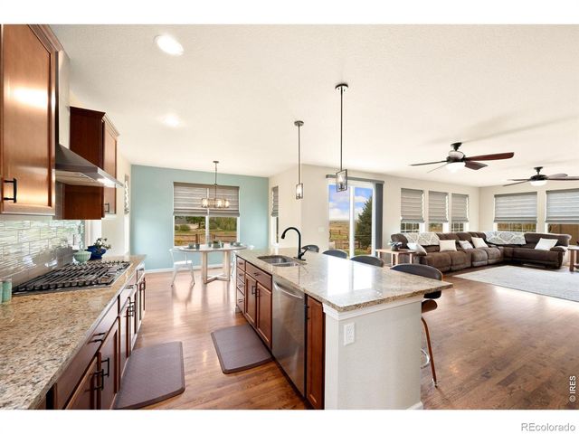 6101 Chesney Court, Windsor, CO 80550
