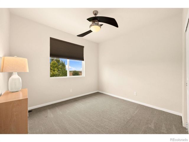 6101 Chesney Court, Windsor, CO 80550
