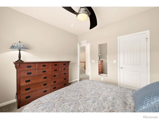 6101 Chesney Court, Windsor, CO 80550