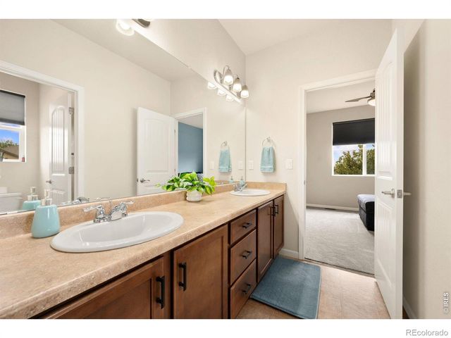 6101 Chesney Court, Windsor, CO 80550