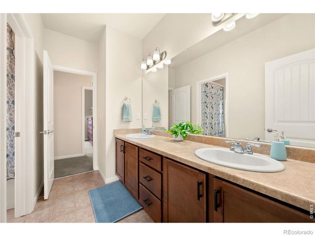 6101 Chesney Court, Windsor, CO 80550