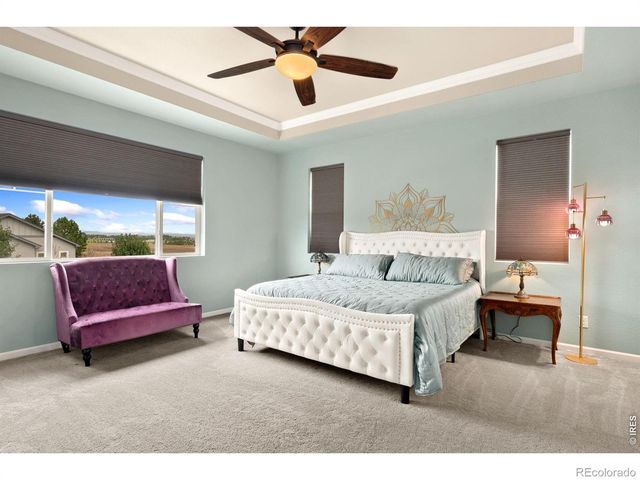 6101 Chesney Court, Windsor, CO 80550