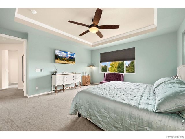 6101 Chesney Court, Windsor, CO 80550