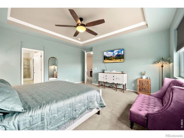6101 Chesney Court, Windsor, CO 80550