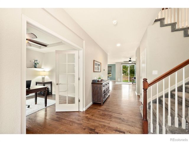 6101 Chesney Court, Windsor, CO 80550