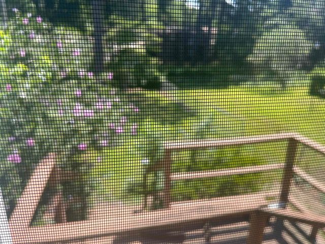 713 Newcomb Drive, Benton, AR 72015