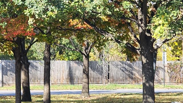 4926 S Western Avenue, Chicago, IL 60609