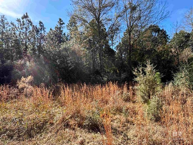 0 Barnhill Farm Road, Loxley, AL 36551