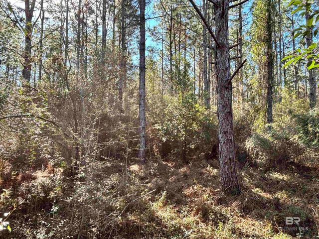 0 Barnhill Farm Road, Loxley, AL 36551