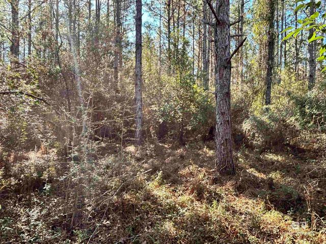 0 Barnhill Farm Road, Loxley, AL 36551